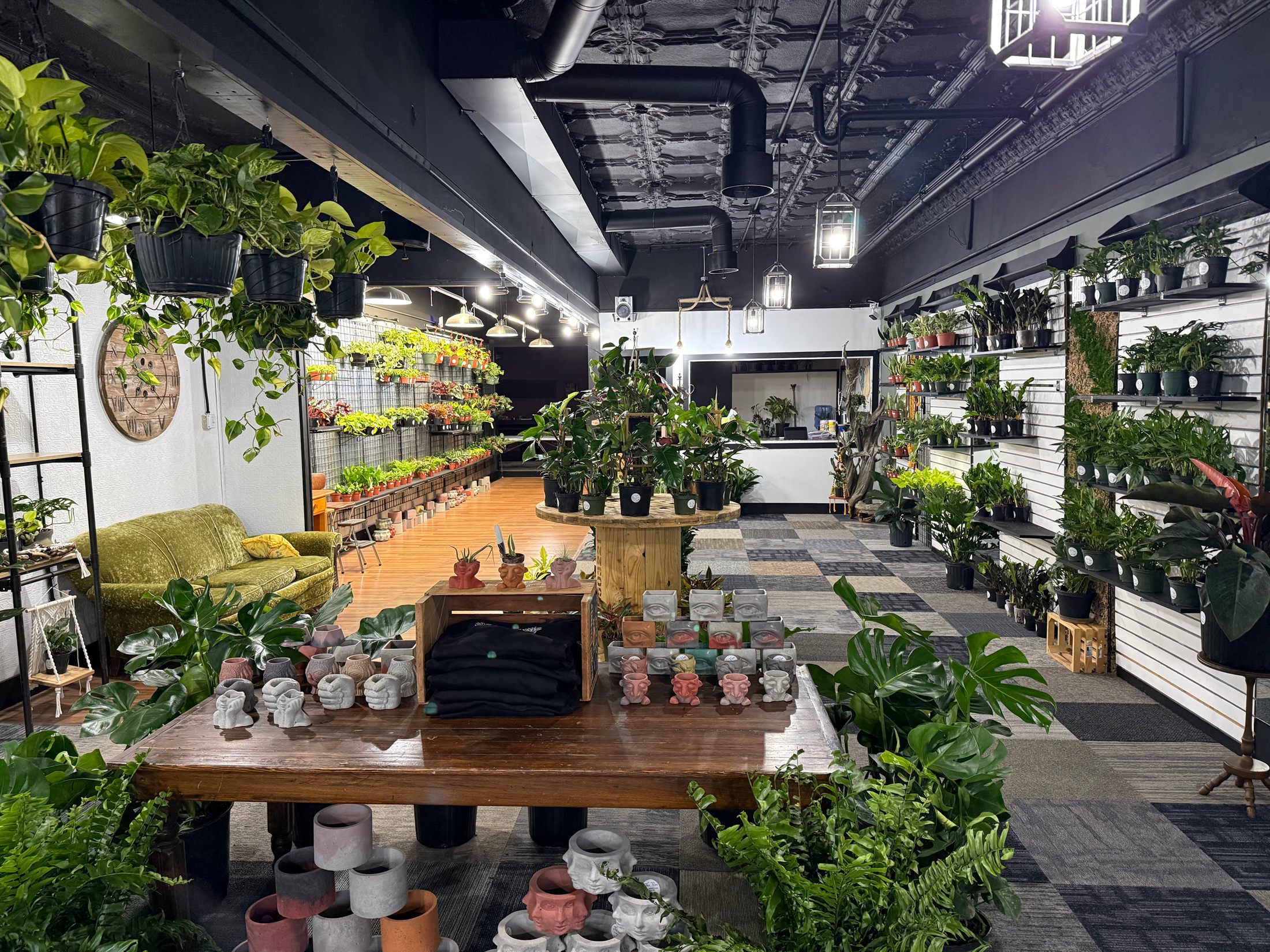 Interior view of The Vine plant shop