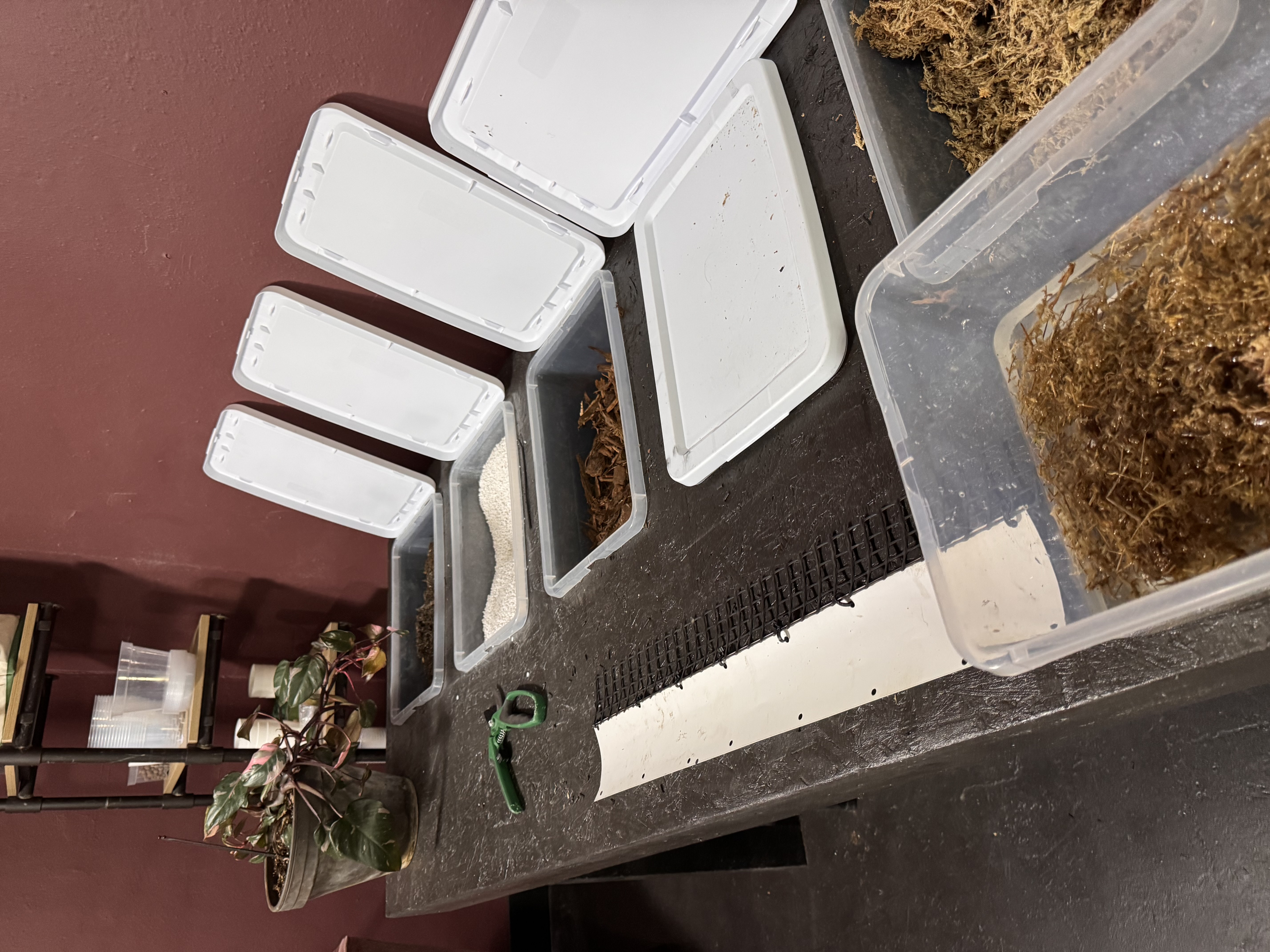 Potting station at The Vine